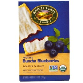 Nature's Path Organic Toaster Pastries Blueberry Frosted -- 11 oz