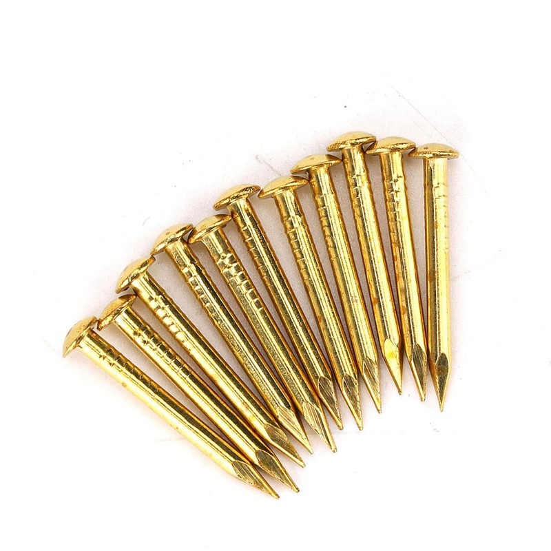 Kodrily Gold Small Nails, 100PCS Hardware Nails Assortment Kit, Round