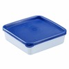 Westmark 4 Food Storage / Freezer Containers with Lid Capacity