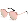 Dollger Polarized Sunglasses Women Cat Eye Mirrored Trendy Shades with