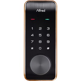 Alfred Touchscreen Keypad Pin + Key Entry Smart Door Lock Combo with Wi-Fi Connect Bridge & Key (DB2W-B-GL)