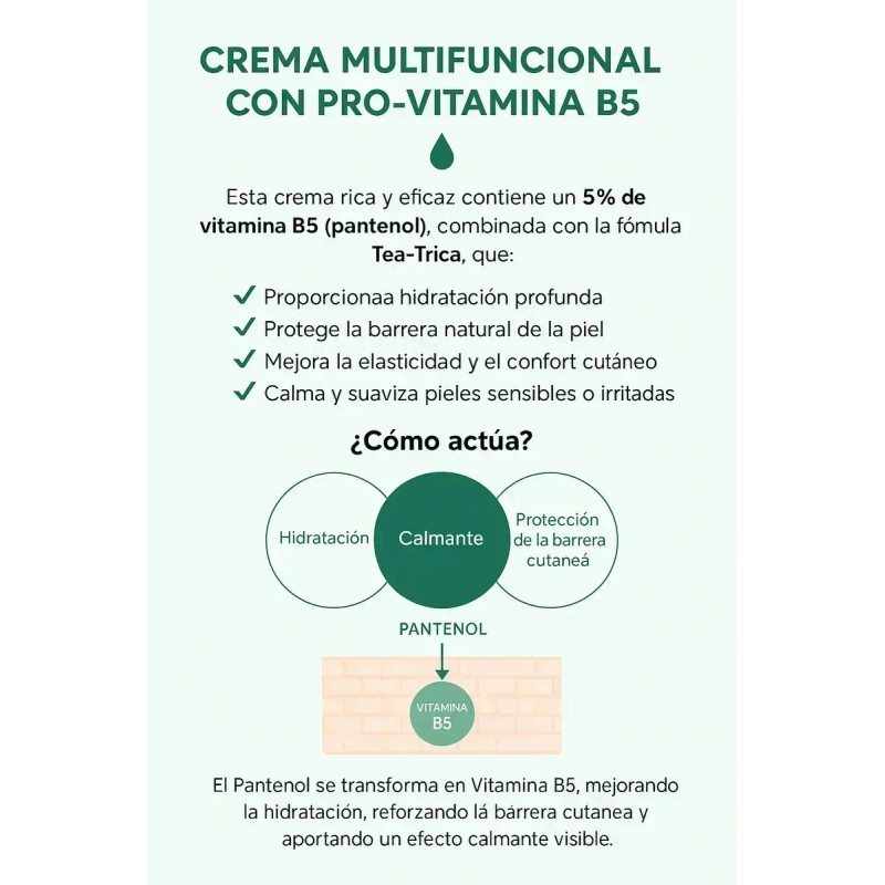 Skin 1004 - Madagascar Centella Tea-trica B5 Cream 75ml 2pz