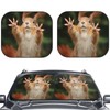 KiuLoam Squirrel Funny Animal Meets Car Windshield Sun Shade, 2-Piece