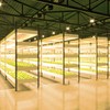 LED Plant Growth Light Board Full Spectrum Supplement Light for