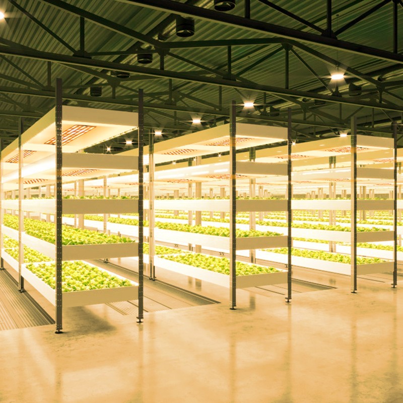 LED Plant Growth Light Board Full Spectrum Supplement Light for