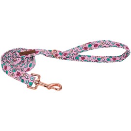 UP URARA PUP Valentine Dog Leash Match Dog Collar, Sturdy Durable Valentine’s Day Cotton Dog Leash, Colorful Hearts Wedding Dog Training Leash for Small Medium Large Dog