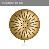 Bellerose 3-Spray Patterns 1.75 GPM 8 in. Wall Mount Fixed