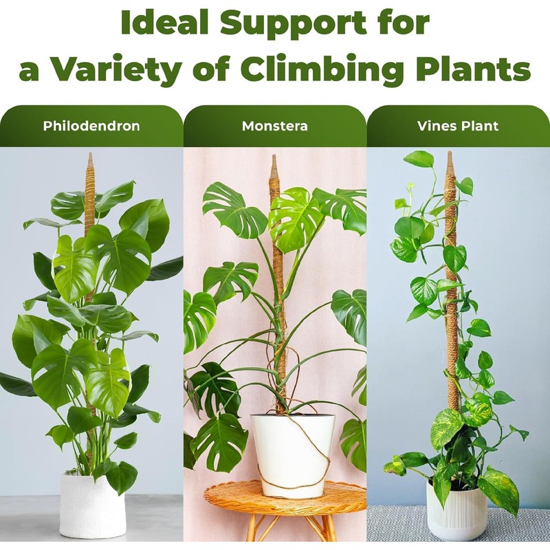 48'' Moss Pole - Monstera Plant Support - Bendable Plant