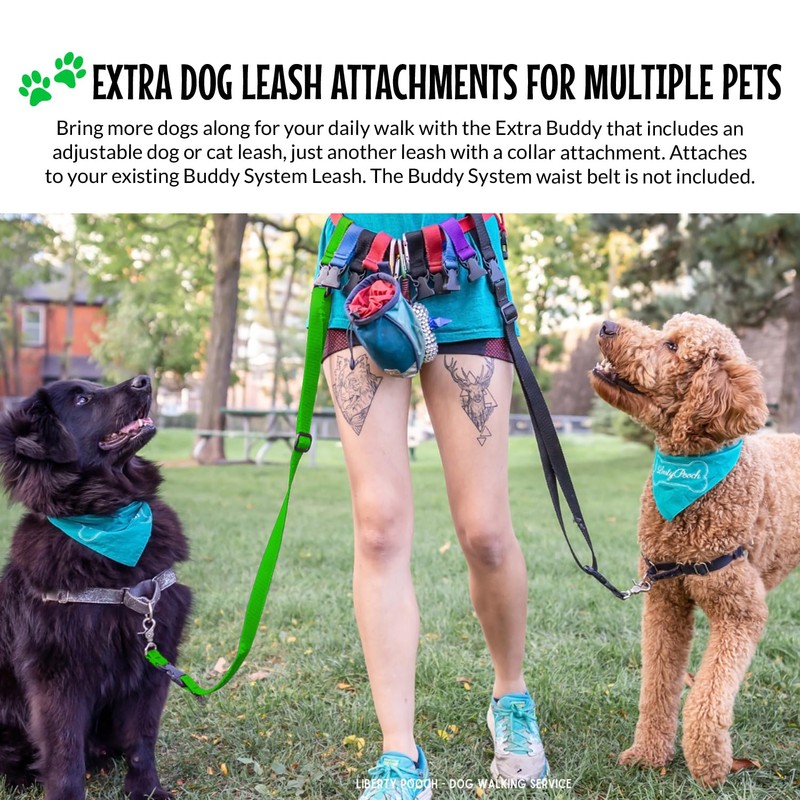 The Buddy System Extra Buddy Regular Green