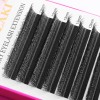 Extensiones De Pestañas Xiusuzaki 4dw En Forma De U, Color