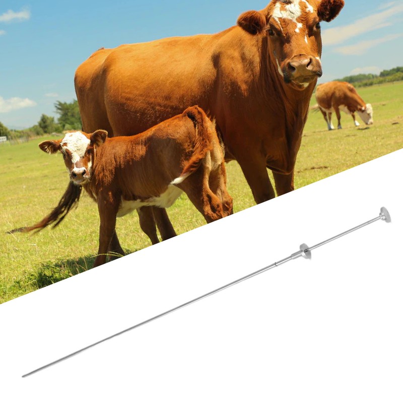 Cow Inseminating Rod 304 Stainless Steel Artificial Animal Breeding Tool