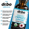 Dr. Bo Lymphatic Support Liquid Drops | USDA Organic Herbal