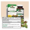 Nature Answer Regaliz 450mg Cápsulas Vegetales Sfn