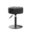 LUE BONA Adjustable Vanity Stool, 360 Swivel Chair for Makeup