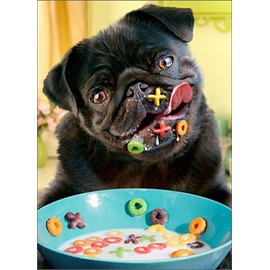 Dog Alphabet Cereal Funny Pug Birthday Card