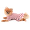 SMALLLEE_LUCKY_STORE Pet Clothes Girls Puppy Knit Sweater Dress for Small