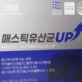 OTMARTFOOD Mastic Lactobacillus UP 90 tablets