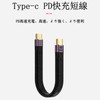 USB Type C short wire (USB 3.1 standard 5.4 inch
