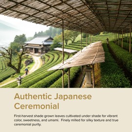 VAHDAM Ceremonial Matcha Green Tea Powder | Superior Grade Japanese Matcha | Handpicked from Japan | Smooth & Balanced Taste | 30g