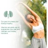Puregen Labs Kidney-Vite | Premier Kidney, Renal Support | Non-GMO,