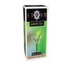 Stash Premium Green Tea, 20 Tea Bags Per Box