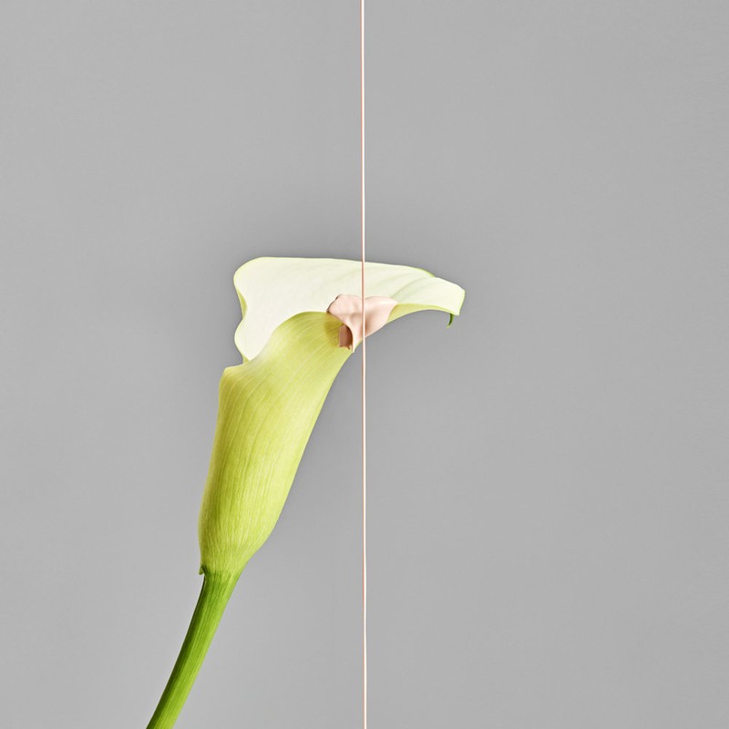 넘버에잇 소프트 글로우 톤업 선크림 50ml SPF 50+ PA++++