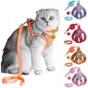 JSXD Juego de arnés para gato, correa y collar, arnés