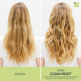 Biolage Scalpsync Clean Reset Normalizing Shampoo 400ml