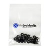 6-32 Black Nylon Insert Lock Nuts, Stainless Steel 304 (18-8)