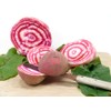 Seed Needs Beet Seeds for Planting Chioggia Beetroot - Non-GMO