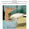 Automatic Parrot Feeder Prevent Spillage and Splashing Easy Installation Acrylic