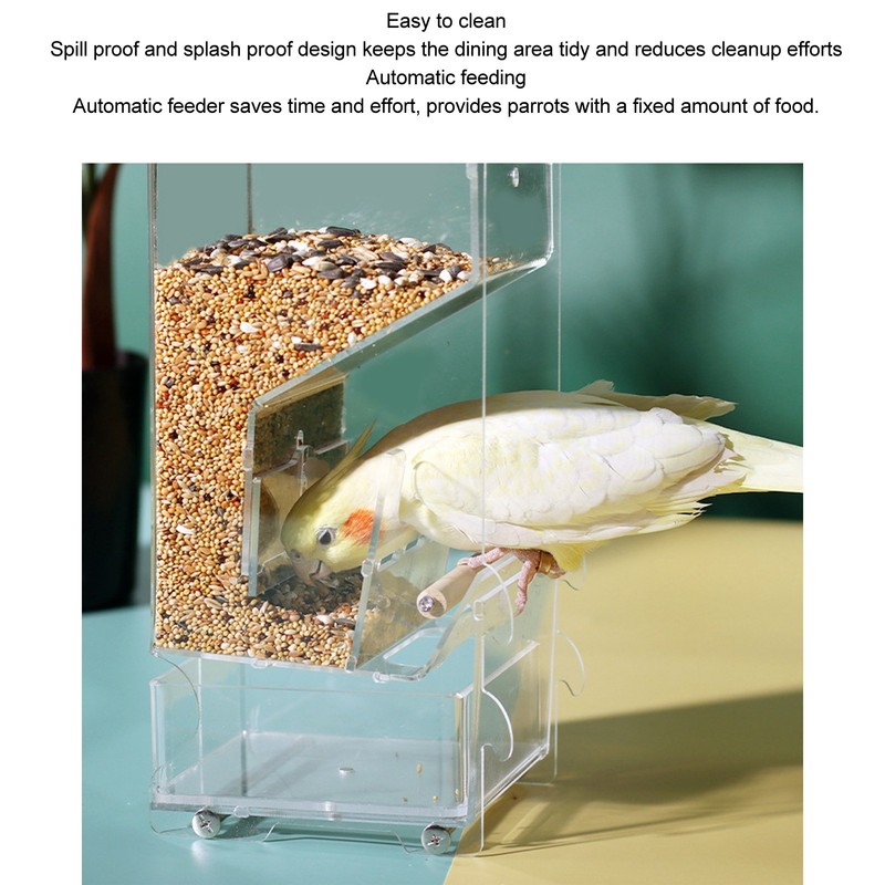 Automatic Parrot Feeder Prevent Spillage and Splashing Easy Installation Acrylic