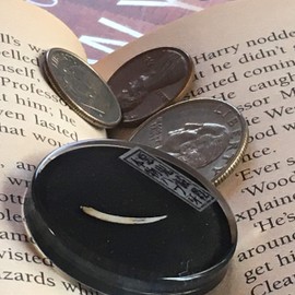 KIN-HEBI Real Venomous Habu Snake Fang, Extremely Rare Items That are Difficult to Collect, Traditional Japanese Talisman to Repel The Devil, Good Luck Pocket Token, 1.25”