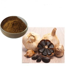 100g Black Garlic Concentrated Powder Sample