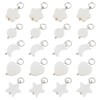 SUPERFINDINGS 40Pcs 5 Styles Shell Pendants Natural Shells Charms Sea