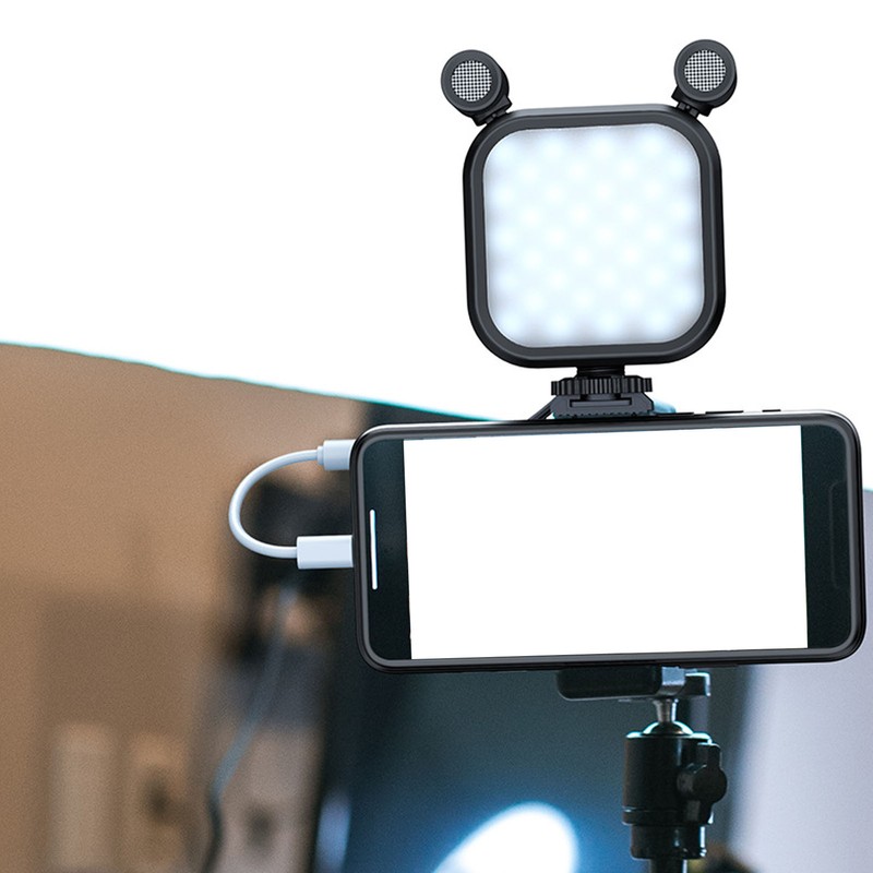 Stereo Microphone Light 10 Levels Brightness Dual Mic Fill Lamp