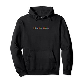 Miniature Collector I Like Tiny Things Tiny House Owner Pullover Hoodie