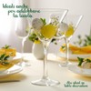 Decoraparty Transparenter Konfektbecher, Martini-Glas für Konfekt, Zeremonie, Tischdekoration, große Mitteldecke