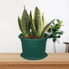 Whitefurze G02088 20cm Venetian Saucer for Round Planter - Forest