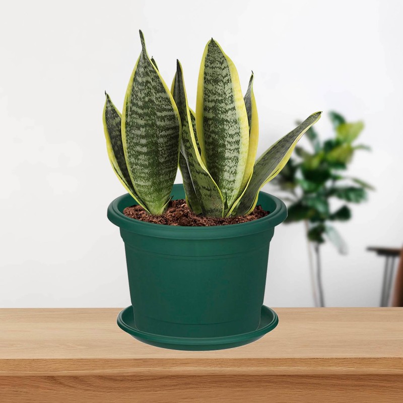 Whitefurze G02088 20cm Venetian Saucer for Round Planter - Forest