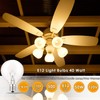 SerBion 40 Watt Light Bulbs E12 Candelabra Base 120Volt Round