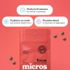 Micros Focus Mini Pack – Vegan, Sugar-Free Brain-Boosting Mints with