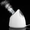 100ml Facial Steamer Nano Steam SPA Spray Moisturizer Face Sprayer