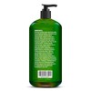Majestic Pure Tea Tree Oil Hair Shampoo - 16flOz