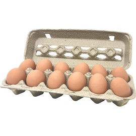 Pecking Order Paper Pulp Egg Cartons - 50 Pack | Pecking Order