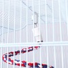POPETPOP Rope Perch, Parakeet, Perch, Parrot, Bird Toy with Bell