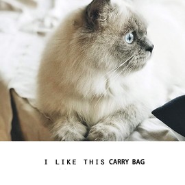 KAMEIOU Small Dog Cat Purse Carrier Soft-Sided Bag for Small Pets Pocket Mat Breathable Mesh Window Outdoor Travel Small Pet Puppy Cat Carrier Tote Bag for Small Dogs Rabbits Cats Carrier Shoulder Bag