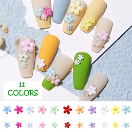 findTop 2 cajas de accesorios de arte de uñas de flores 3D, 12 rejillas de acrílico 3D, suministros de arte de uñas con perlas para decoración de uñas (11 colores)