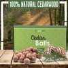 ecoKiwi Cedar Balls 40 Pack - Cedar Blocks for Clothes