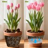 SSEHCWAN 4 Packs Planter Insert for Large Pots, 10''/13" Round